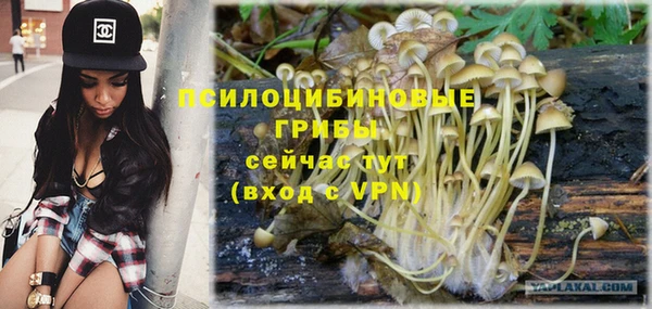 синтетический гашиш Богородицк